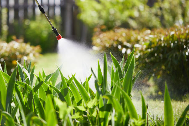 24/7 Emergency Wasp Removal experts in Marissa, IL