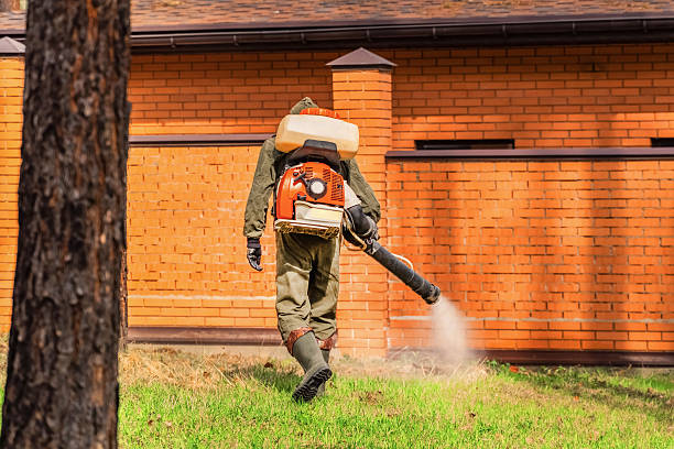 Top rated local Wasp Removal specialists in Marissa, IL